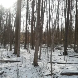 Grand River Trail - Cambridge