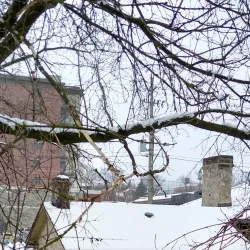 McDougall Cottage - Cambridge