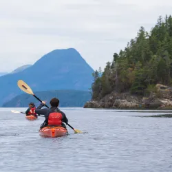 Campbell River Whale Watching - Campbell River