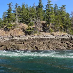 Campbell River Whale Watching - Campbell River