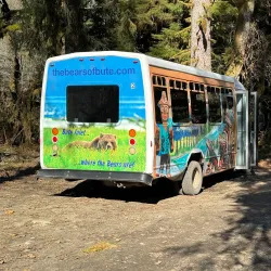 Campbell River Whale Watching - Campbell River