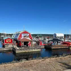 Campbell River Whale Watching - Campbell River