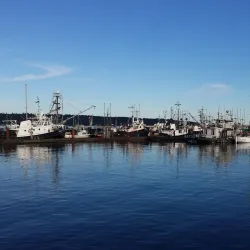 Quadra Island - Campbell River