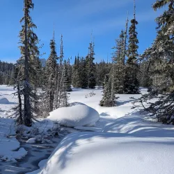 Strathcona Provincial Park - Campbell River