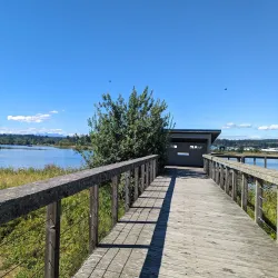 Tyee Spit Park - Campbell River
