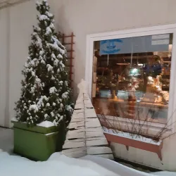 Campbellton Market - Campbellton