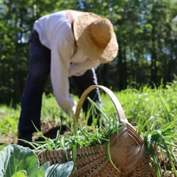 Le Musée Acadien de Campbellton - Campbellton