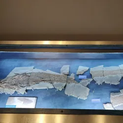 Miguasha National Park - Campbellton