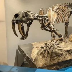 Miguasha National Park - Campbellton