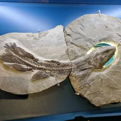 Miguasha National Park - Campbellton