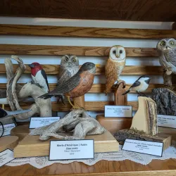 Restigouche Gallery - Campbellton