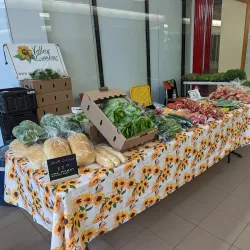 Camrose Farmers Market - Camrose