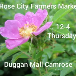 Camrose Farmers Market - Camrose