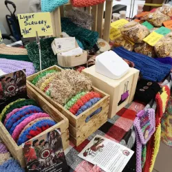 Camrose Farmers Market - Camrose