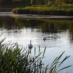 Kempe Park - Camrose