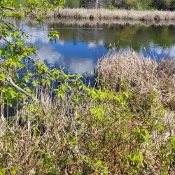 Mirror Lake Park - Camrose