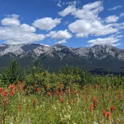 Canmore Nordic Centre Provincial Park - Canmore
