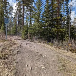 Riverwalk of Canmore - Canmore
