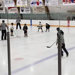 Caroline Arena - Caroline