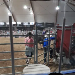 Caroline Arena - Caroline