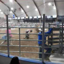 Caroline Arena - Caroline