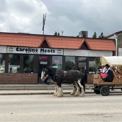 Caroline Farmers Market - Caroline