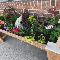 Caroline Farmers Market - Caroline