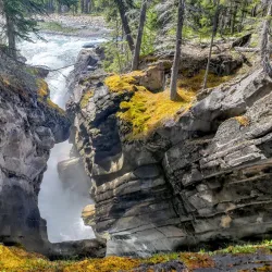 Local Hiking Trails - Caroline