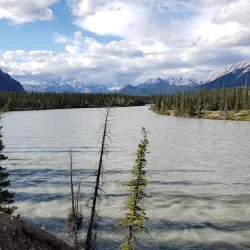 Local Hiking Trails - Caroline