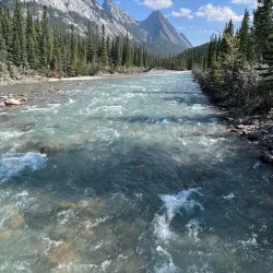 Local Hiking Trails - Caroline