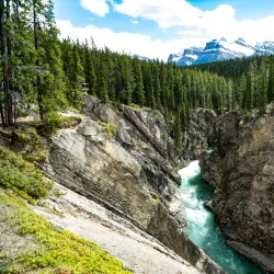 Local Hiking Trails - Caroline