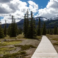 Local Hiking Trails - Caroline