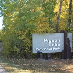 Pigeon Lake Provincial Park - Caroline