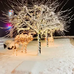 Chances Castlegar - Castlegar