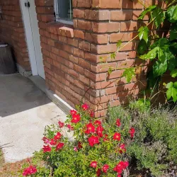 Doukhobor Discovery Centre - Castlegar