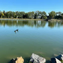 Henderson Lake Park - Castlegar