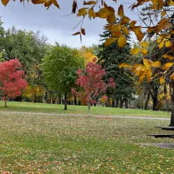 Henderson Lake Park - Castlegar
