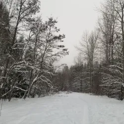 Kinnaird Park - Castlegar