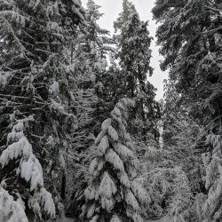 Kinnaird Park - Castlegar