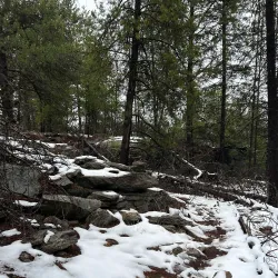 Kinnaird Park - Castlegar