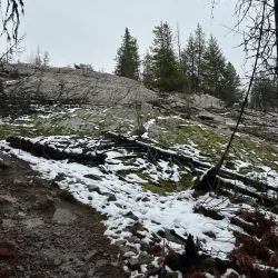 Kinnaird Park - Castlegar