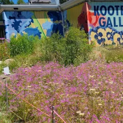 Kootenay Gallery - Castlegar