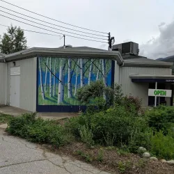 Kootenay Gallery - Castlegar