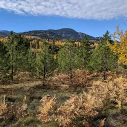 Trail of the Kootenay River - Castlegar