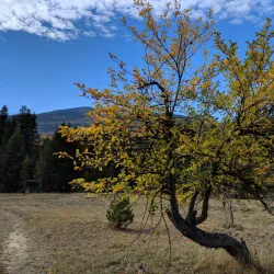 Trail of the Kootenay River - Castlegar