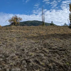Trail of the Kootenay River - Castlegar