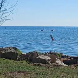 Mitchell's Bay - Chatham-Kent