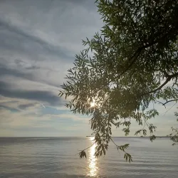 Mitchell's Bay - Chatham-Kent