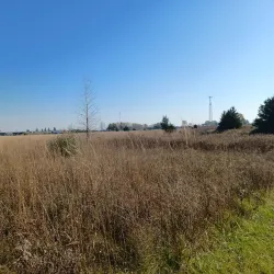 Ridgetown Conservation Area - Chatham-Kent