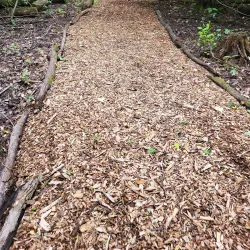 Ridgetown Conservation Area - Chatham-Kent